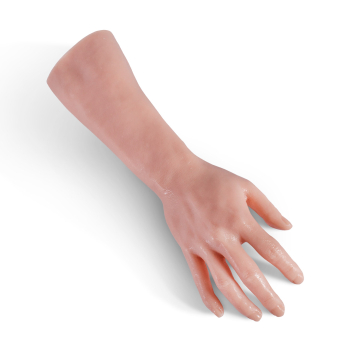 Partes Del Cuerpo - Mano Derecha + Brazo Inferior